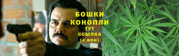дурь Ладушкин