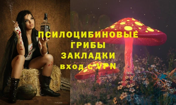 прущие грибы Лихославль