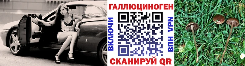 Псилоцибиновые грибы мицелий  kraken сайт  Мамадыш 